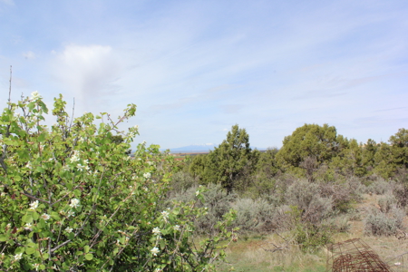 Beautiful Custom Home In Southwest Colorado! - image 30