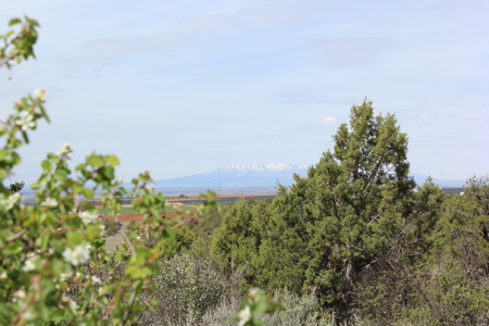 Beautiful Custom Home In Southwest Colorado! - image 31