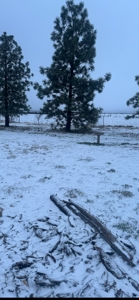 Beautiful Custom Home In Southwest Colorado! - image 38