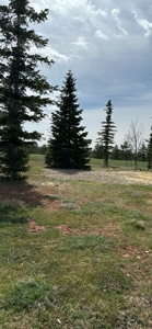 Beautiful Custom Home In Southwest Colorado! - image 39