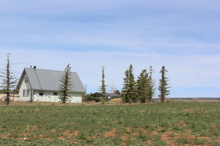 Beautiful Custom Home In Southwest Colorado! - image 32