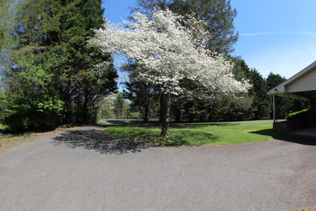 Ranch Style home located in Patrick County, Virginia - image 48