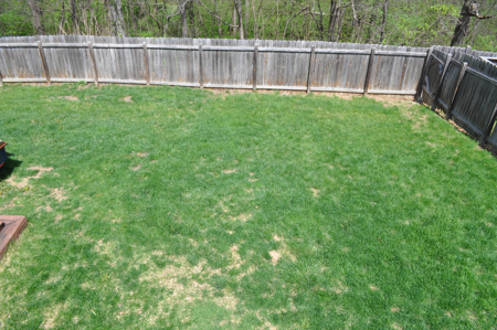 Charming Home for Sale in Platte City | Spacious Living - image 25