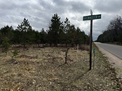 80± acre timber tract in the heart of northern Adams County - image 33