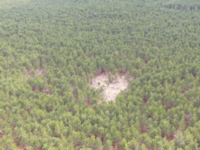 80± acre timber tract in the heart of northern Adams County - image 5