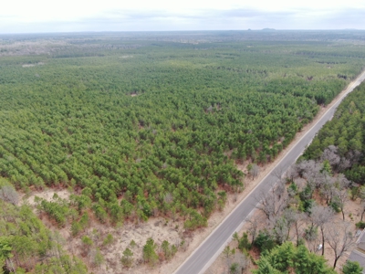 80± acre timber tract in the heart of northern Adams County - image 32