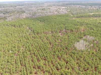 80± acre timber tract in the heart of northern Adams County - image 24