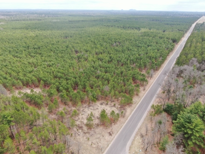 80± acre timber tract in the heart of northern Adams County - image 1