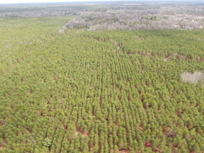 80± acre timber tract in the heart of northern Adams County - image 23