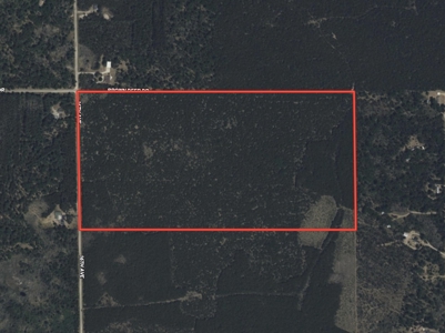 80± acre timber tract in the heart of northern Adams County - image 2