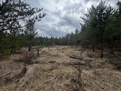 80± acre timber tract in the heart of northern Adams County - image 15