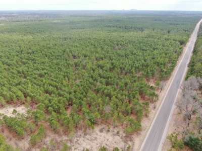 80± acre timber tract in the heart of northern Adams County - image 17