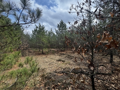 80± acre timber tract in the heart of northern Adams County - image 14