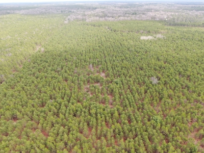 80± acre timber tract in the heart of northern Adams County - image 21