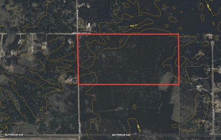 80± acre timber tract in the heart of northern Adams County - image 20