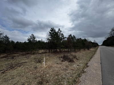 80± acre timber tract in the heart of northern Adams County - image 35