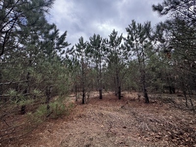 80± acre timber tract in the heart of northern Adams County - image 13