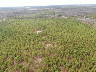 80± acre timber tract in the heart of northern Adams County - image 31