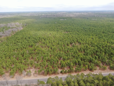 80± acre timber tract in the heart of northern Adams County - image 10