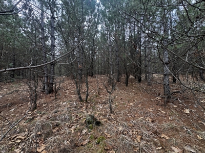 80± acre timber tract in the heart of northern Adams County - image 34