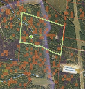 Land for Sale in Lewis County, Tennessee - image 10