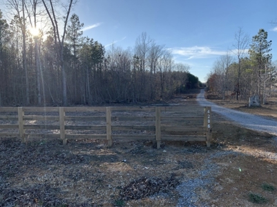 Land for Sale in Lewis County, Tennessee - image 1