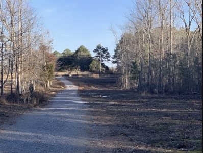 Land for Sale in Lewis County, Tennessee - image 7