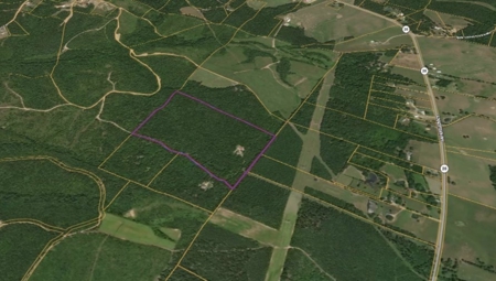 Land for Sale in Lewis County, Tennessee - image 11