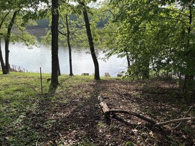 Lakehouse on Barren River Lake - image 2