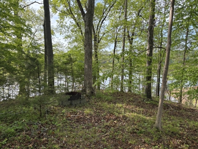 Lakehouse on Barren River Lake - image 8