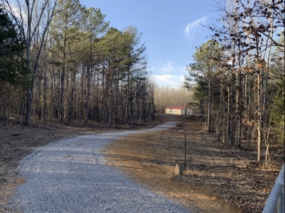 Land for Sale in Lewis County, Tennessee - image 2