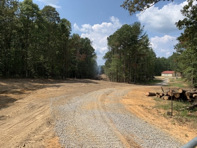 Land for Sale in Lewis County, Tennessee - image 3