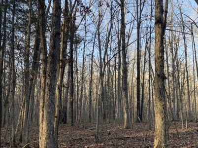 Land for Sale in Lewis County, Tennessee - image 9