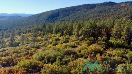 24 Acres of Elevated Living Near the Brazos Cliffs - image 6