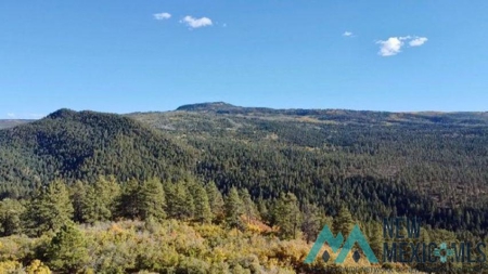 24 Acres of Elevated Living Near the Brazos Cliffs - image 3