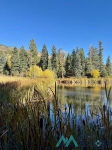 24 Acres of Elevated Living Near the Brazos Cliffs - image 8
