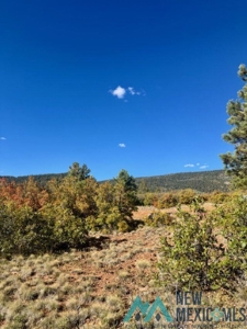 24 Acres of Elevated Living Near the Brazos Cliffs - image 16