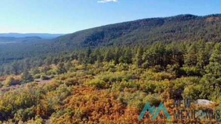 24 Acres of Elevated Living Near the Brazos Cliffs - image 4