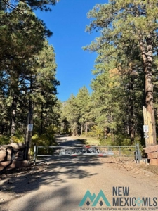 24 Acres of Elevated Living Near the Brazos Cliffs - image 10