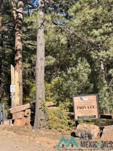 24 Acres of Elevated Living Near the Brazos Cliffs - image 11