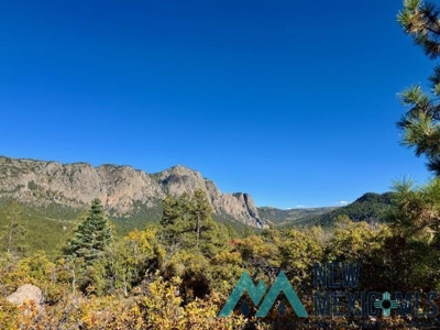 24 Acres of Elevated Living Near the Brazos Cliffs - image 2