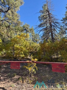 24 Acres of Elevated Living Near the Brazos Cliffs - image 17