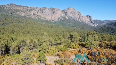 24 Acres of Elevated Living Near the Brazos Cliffs - image 12