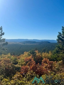 24 Acres of Elevated Living Near the Brazos Cliffs - image 14