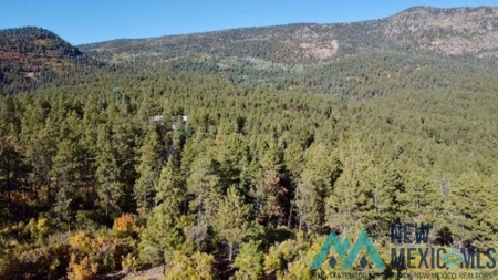 24 Acres of Elevated Living Near the Brazos Cliffs - image 5