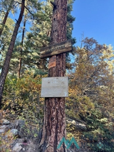 24 Acres of Elevated Living Near the Brazos Cliffs - image 7