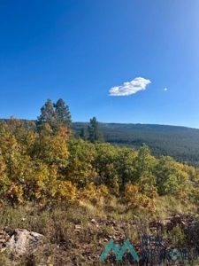 24 Acres of Elevated Living Near the Brazos Cliffs - image 15