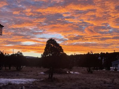 Gorgeous Home located in Fort Heron Preserve with fishing rights - image 34