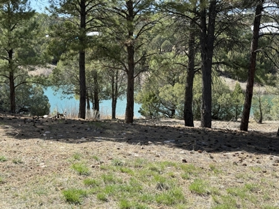 Gorgeous Home located in Fort Heron Preserve with fishing rights - image 7