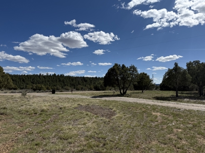 Gorgeous Home located in Fort Heron Preserve with fishing rights - image 2